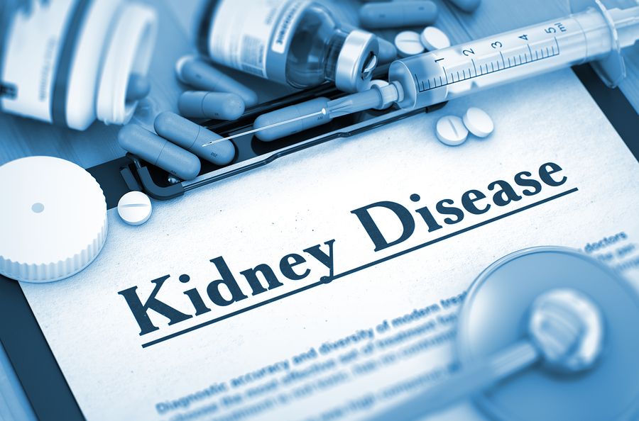 Senior Home Care-Ways to Keep Your Senior’s Kidneys Healthy