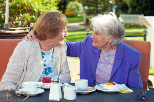 Companion Care at Home Spring Grove PA - Ways to Make Seniors Feel Valued