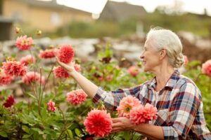 24-Hour Home Care New Oxford PA - Summer Gardening Safety Tips For Seniors